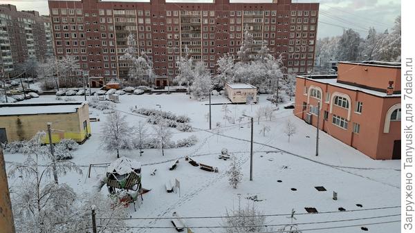 Первый снег