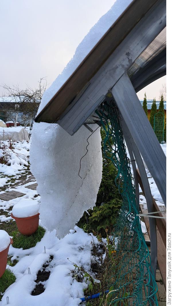 Этот язык почти сутки сползал. К полудню сорвался.