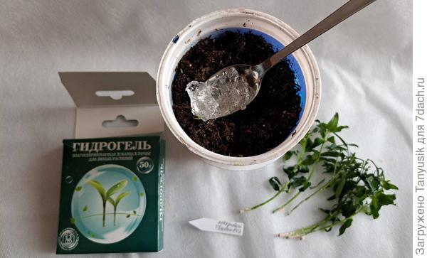 Чтобы черенки не пересыхали в мое отсутствие на даче ( а это может быть и неделя, и две), использую "Гидрогель".