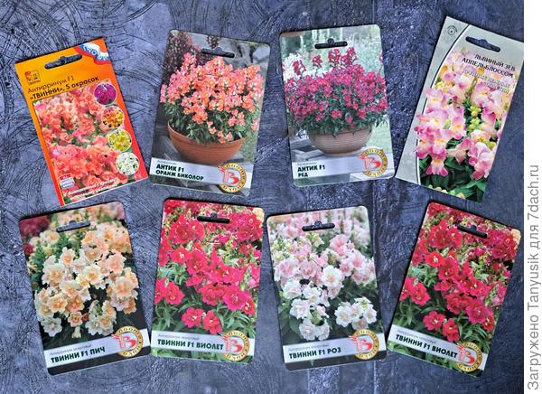 А эти летом были такие.