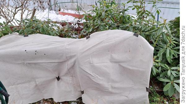 Крепление брезента к опорам.