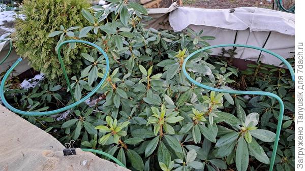 Дополнительные опоры.