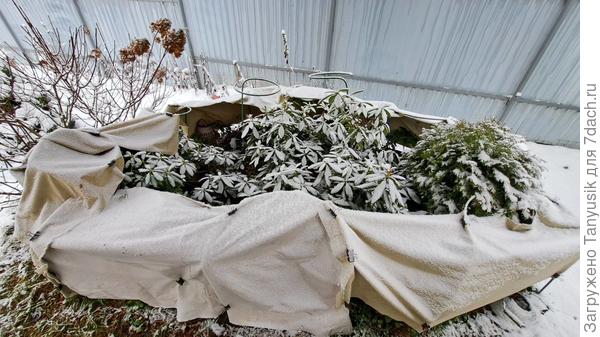 Защита от ветра и солнца готова!