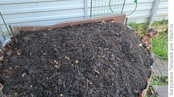 "Слоеный пирожок" из багреца, золота и земли готов!