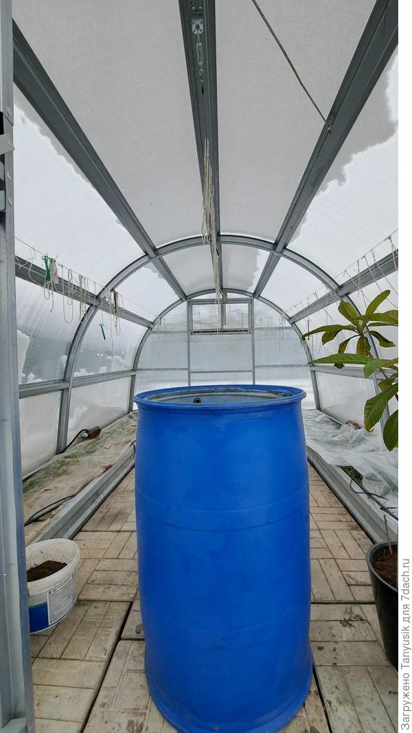 Бочка в теплице 3х4 м стоит у входа.