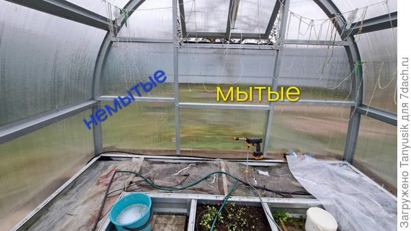 Разница между помытыми и немытыми частями теплицы.