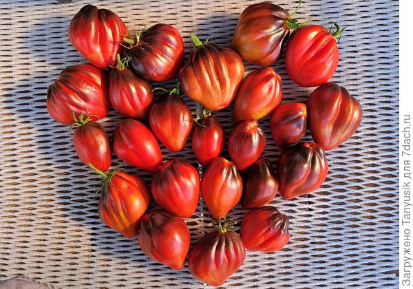 Всем сердечный привет от Червячка!