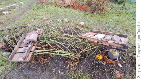 Это Парад. Пришлось применить силу. А что делать? Красота требует жертв!