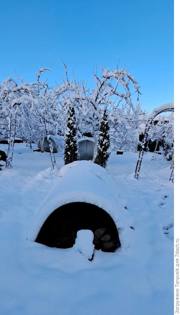 15 ноября у нас выпал снег, но было еще тепло.