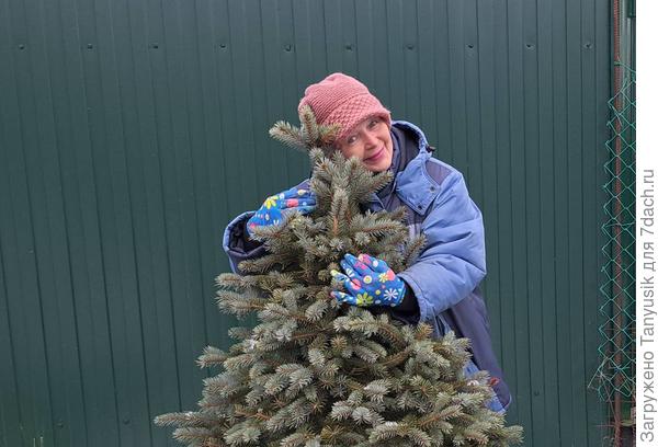Обнимашки с ёлочкой.