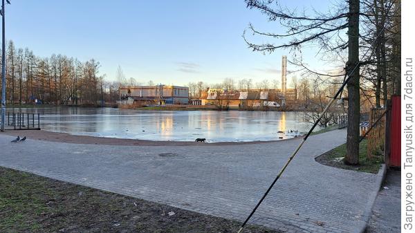 А здесь специальный спуск к воде, чтобы было удобно кормить уток