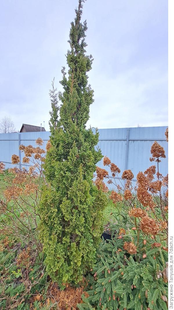 Зматлик осенью 2025 г