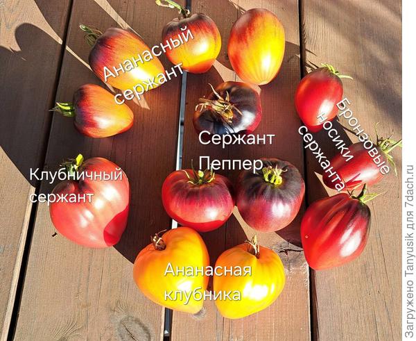 Дети Пеппера