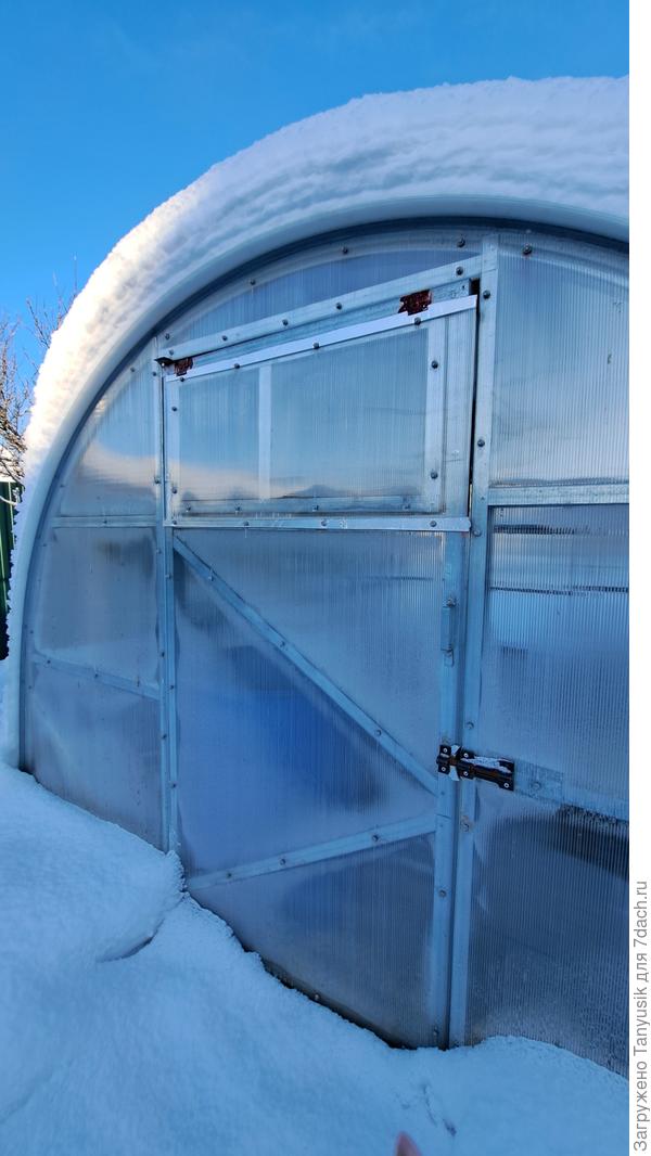 Снега у нас не очень много. С теплицы ни разу не убирали