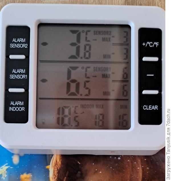 В розарии под укрытием на 10° теплее, чем на улице