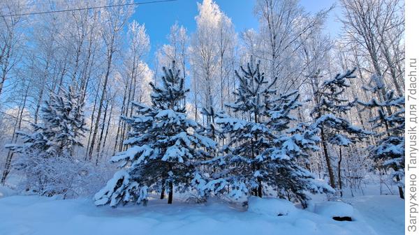 По пути на дачу