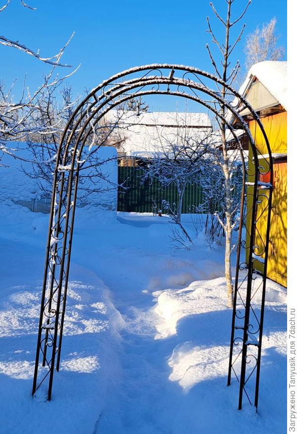 У нас сейчас вот так. Укрыто, конечно. Но хотелось бы побольше.
