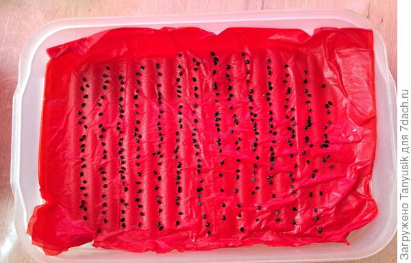 Посмотрим, сколько проклюнутся.