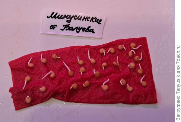 С запасиком. Вдруг что-то не привьется-))