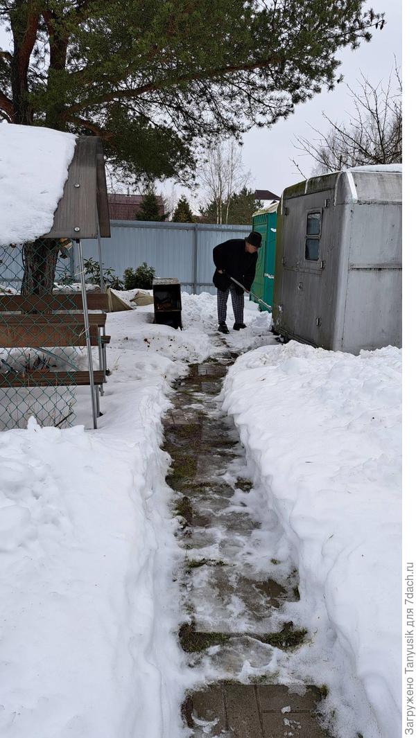 Еще чуть-чуть, и снега совсем не будет. Надо скорее накидать в бочку в теплице.