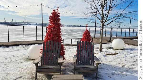 Зимой и летом елки не одним цветом. В Питере в марте они краснеют-))