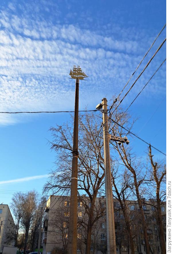 Тополя у пятиэтажек и местный "шпиль Адмиралтейства"