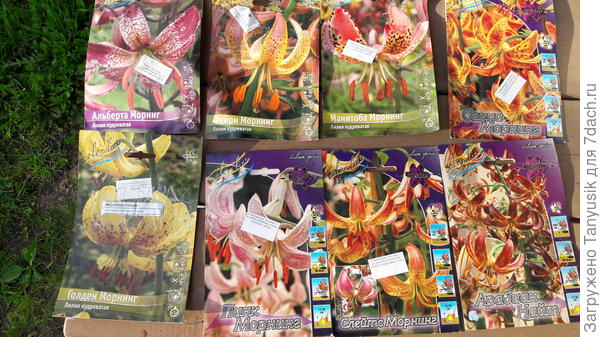 Каждый год покупала в Колорлайне