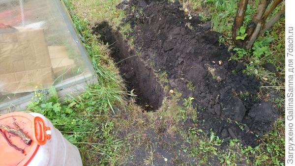 Одна из траншей вдоль первой теплицы.