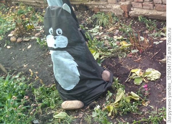 укрытие котик