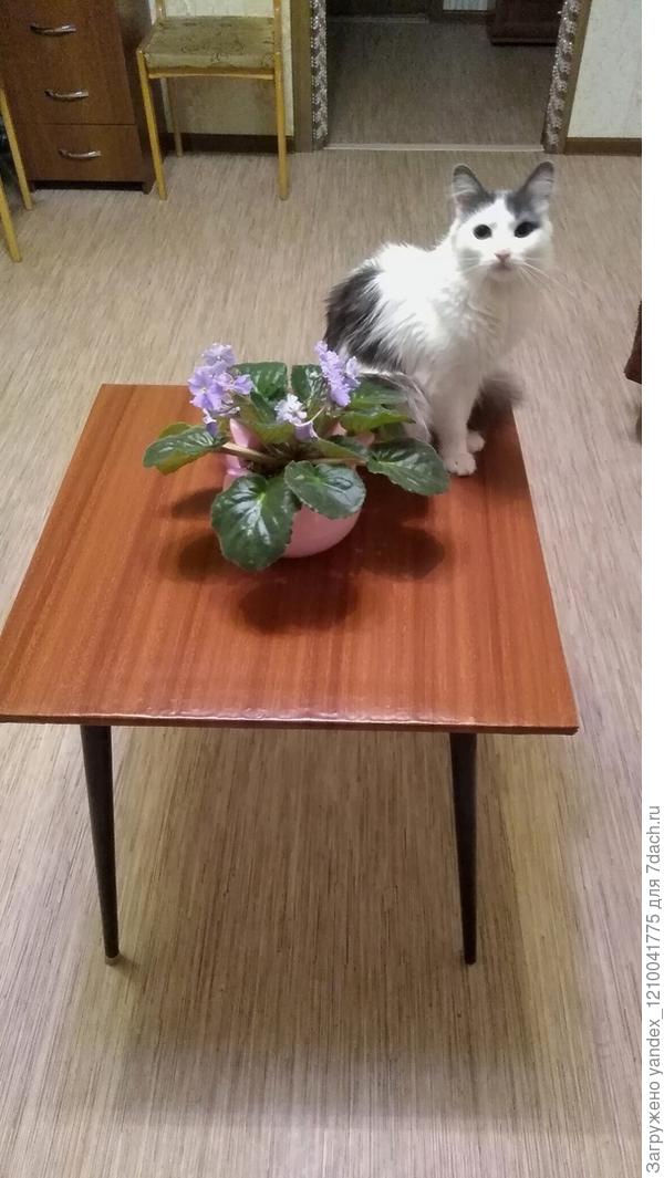 Готовый столик