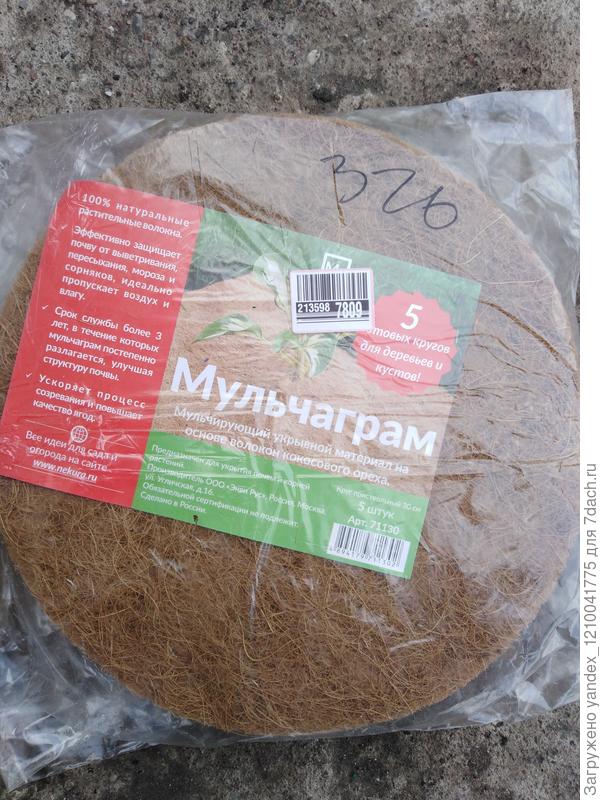 мульча