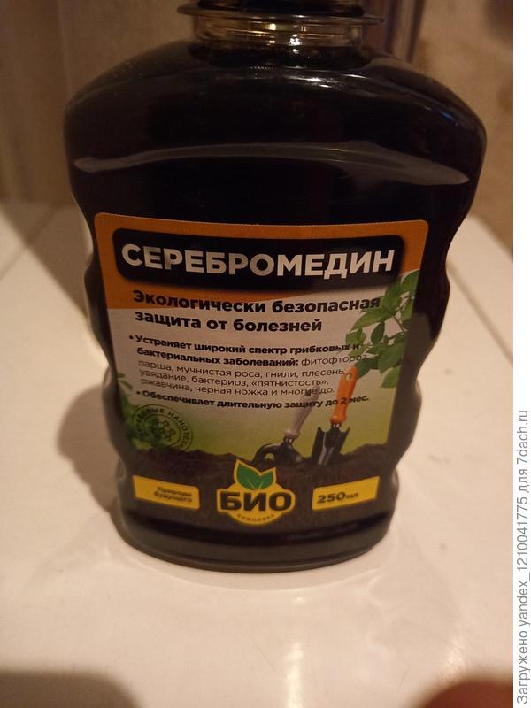 Серебромедин