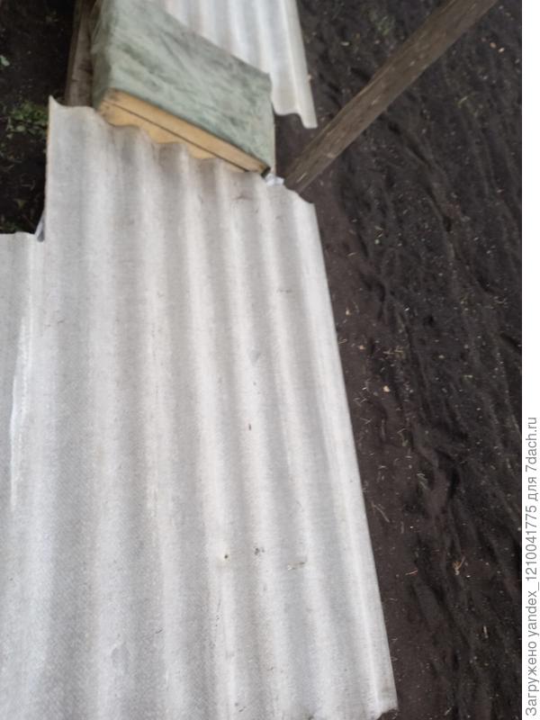 Шифер для укрытия винограда