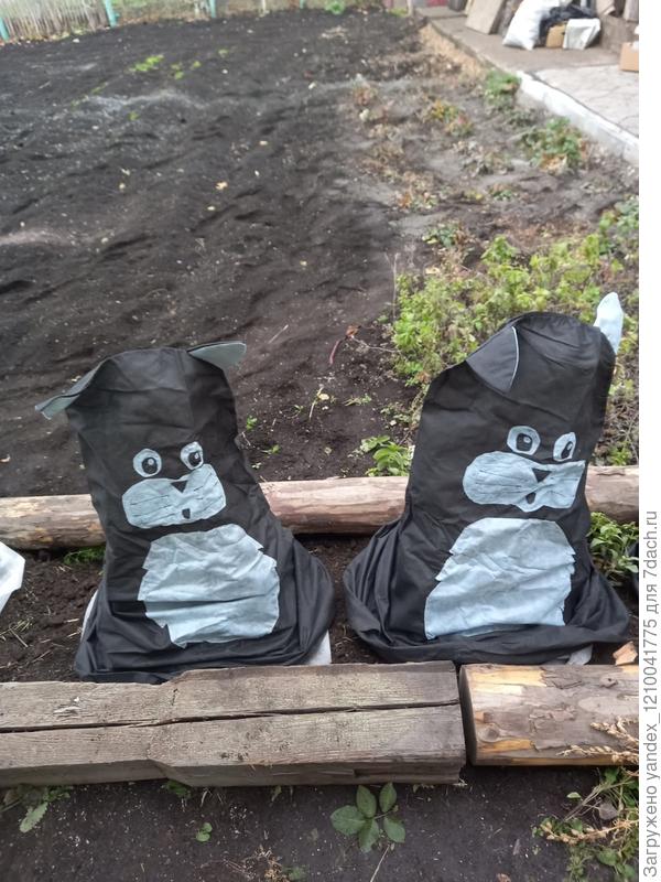 Укрытие для роз Котики