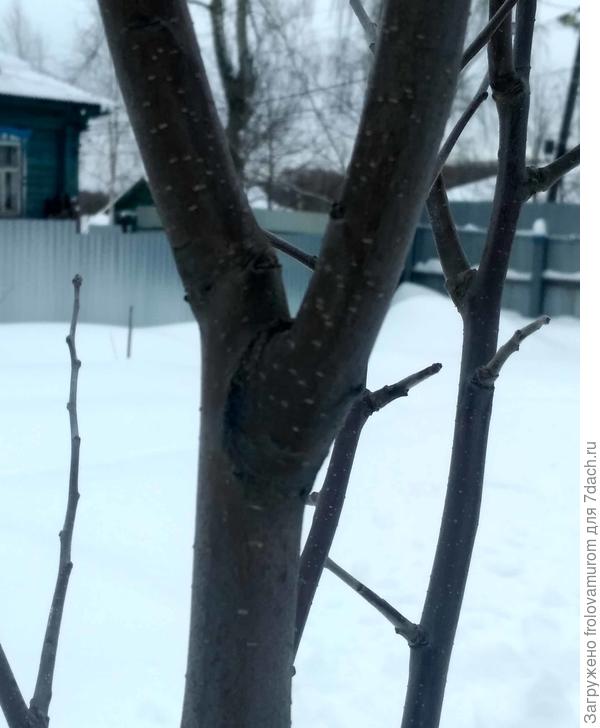 Вид с другой стороны.