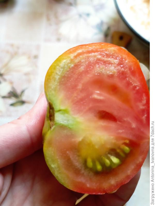 Томат 1 на срезе