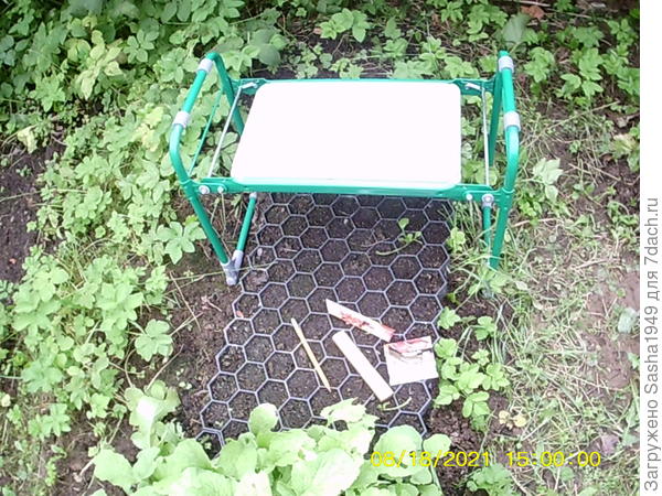 В 2022 буду выращивать "зелень" так...