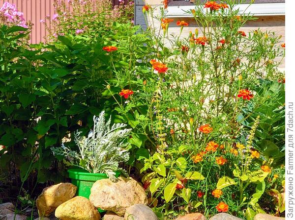 Все подряд (лето)