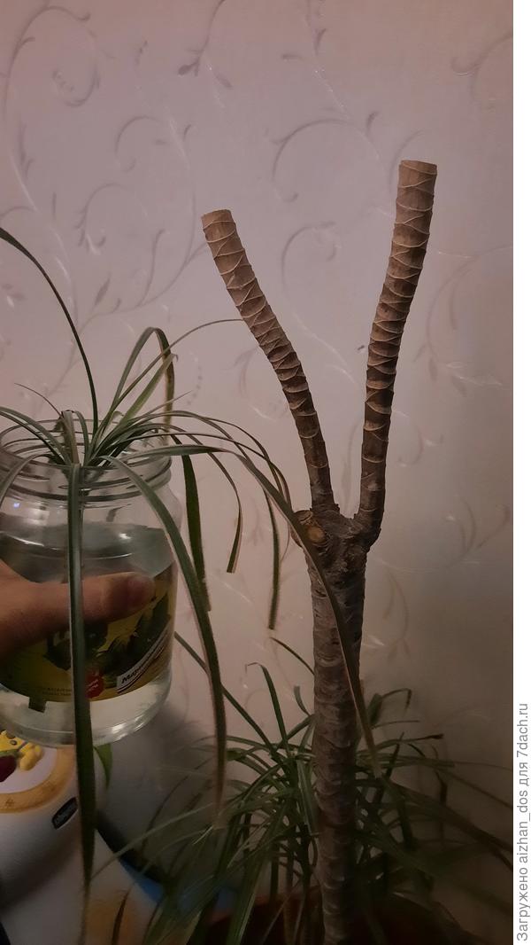 Ну как то так..