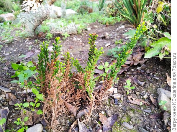 Надо, наверное со спичечным коробком на днях сходить