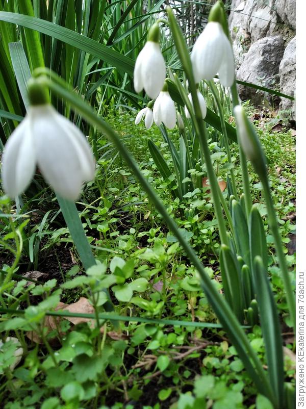 Традиционно - в День рождения!