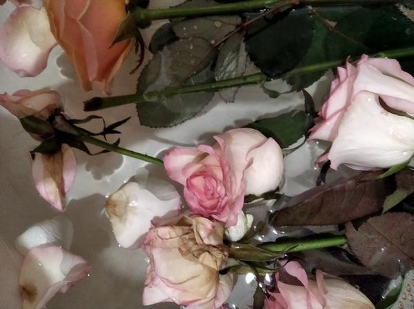 С одной стороны цветок более-менее