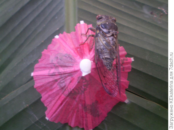 Ну, и чтобы размер понять