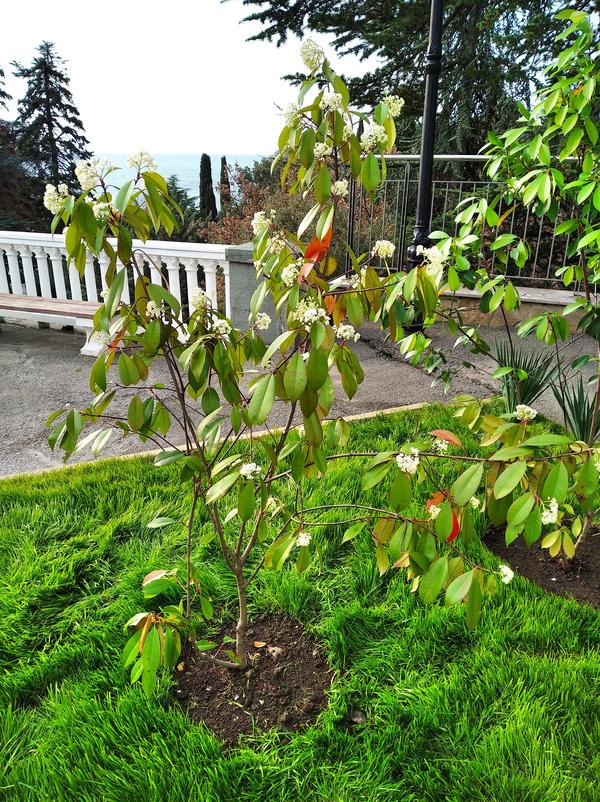 Немного другой ракурс