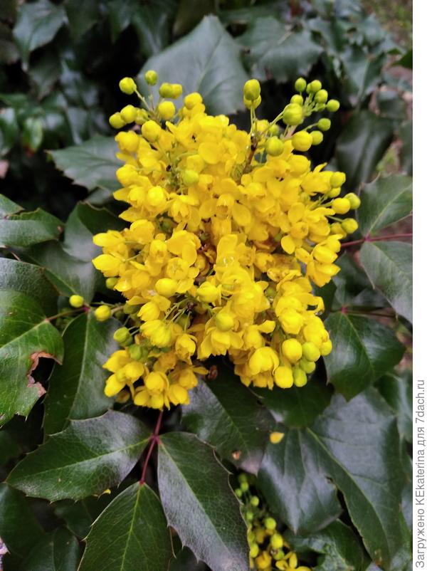 Фото сделано 12.04.2021 ЮБК