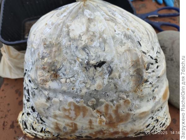 С одной стороны