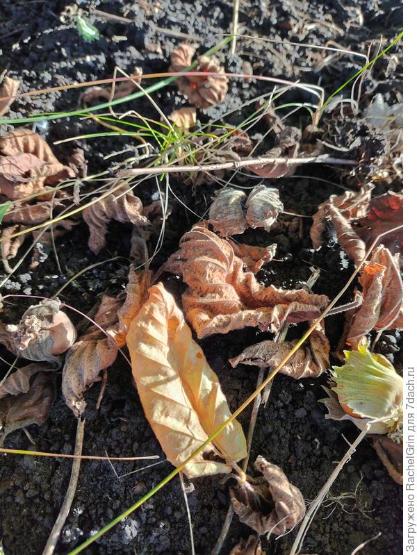 Профессиональные маскировщики )))