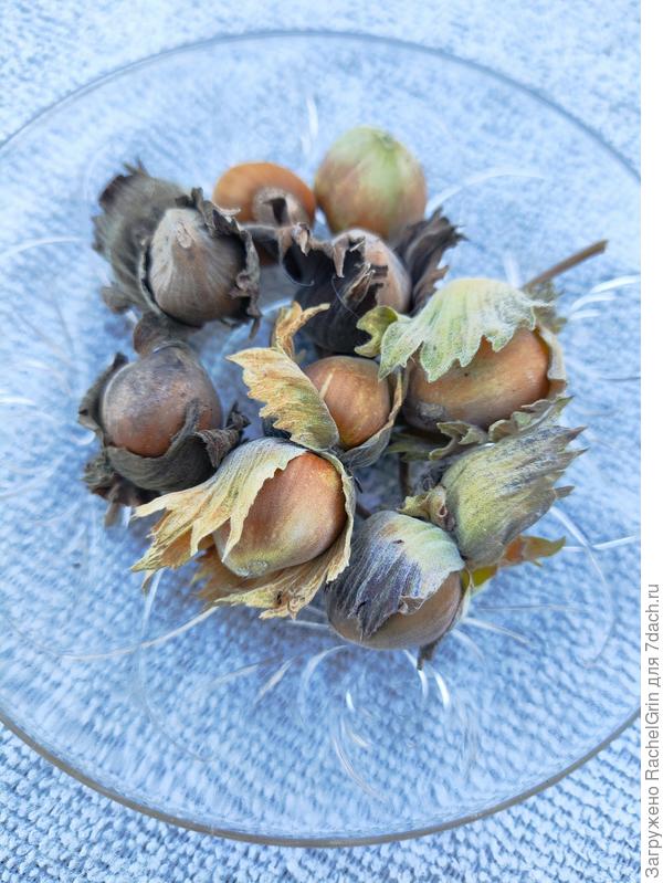 Самый первый урожай