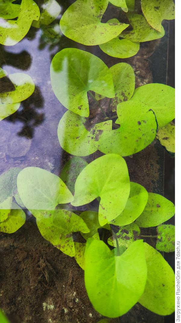 Переехали в кассеты