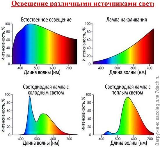 Спектры ламп